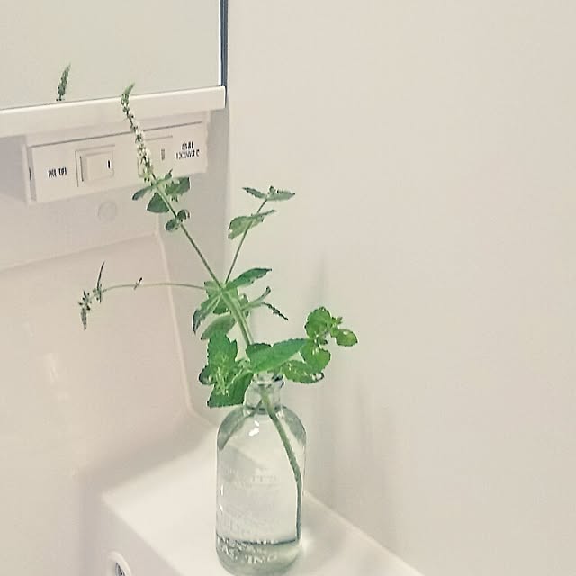 _toro__k_さんの実例写真