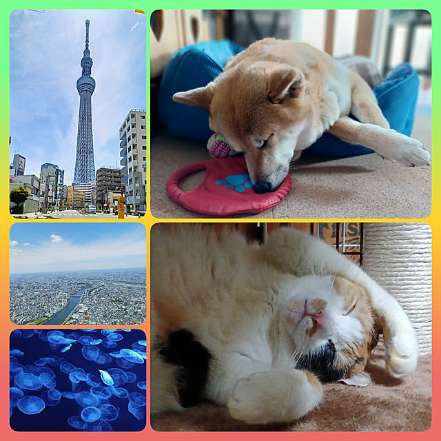 nanaさんの実例写真
