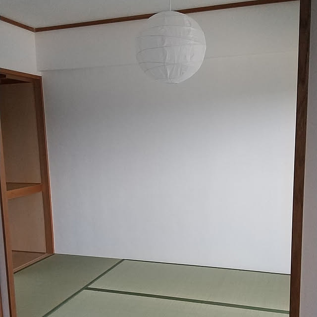 部屋全体/和室/畳のインテリア実例 - 2022-07-07 16:05:32