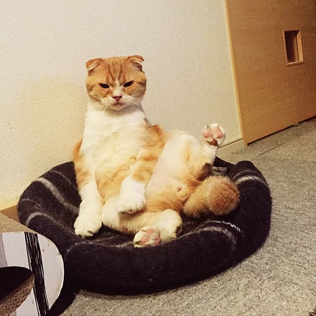 pepperさんの実例写真