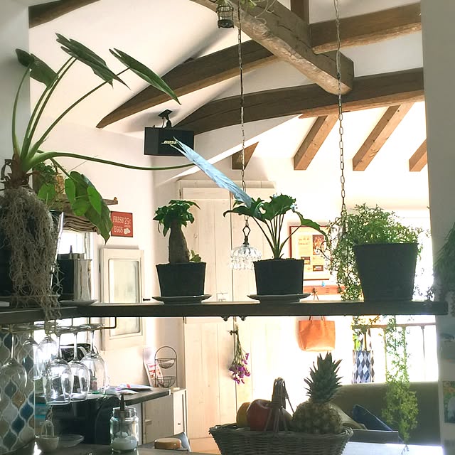 shio2772さんの実例写真