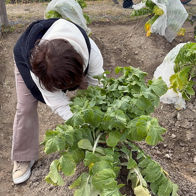 piropitaさんの部屋