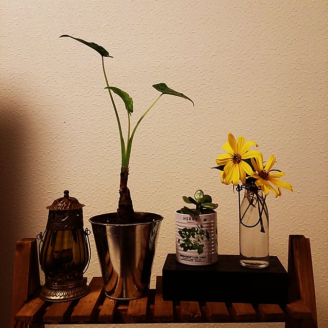 Roseさんの実例写真