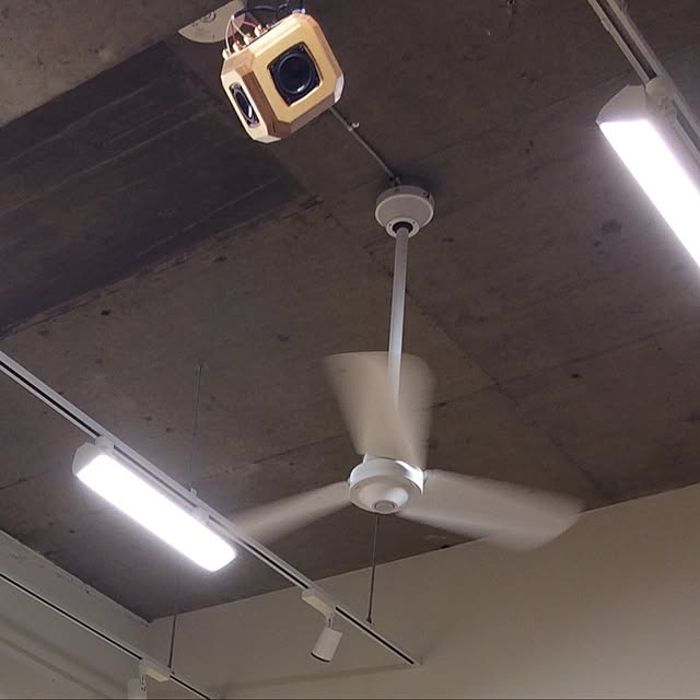 壁/天井のインテリア実例 - 2017-06-04 09:26:18