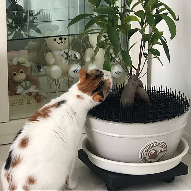 hiroさんの実例写真