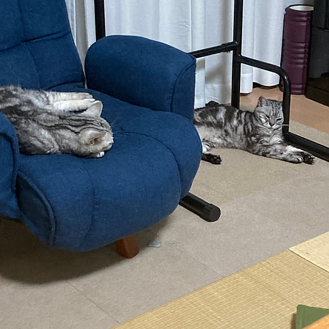 zabonzabonさんの部屋