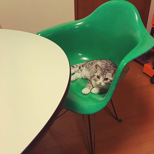 Shojiさんの実例写真