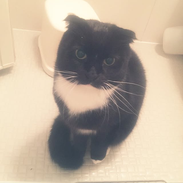 19さんの実例写真