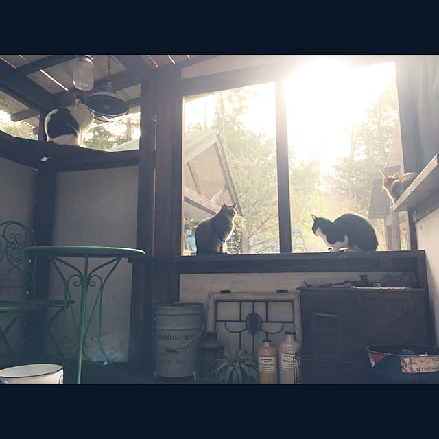 marusanさんの実例写真