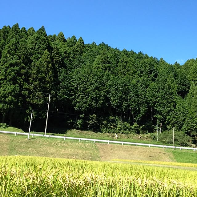 tamaさんの実例写真