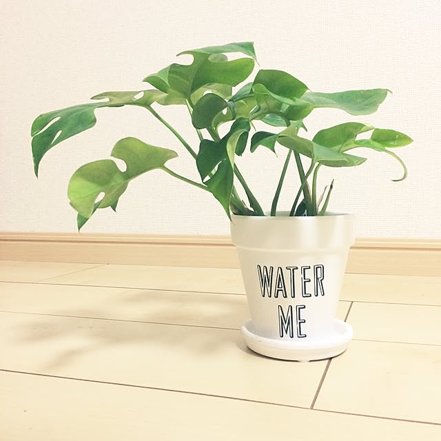 namnaoさんの実例写真