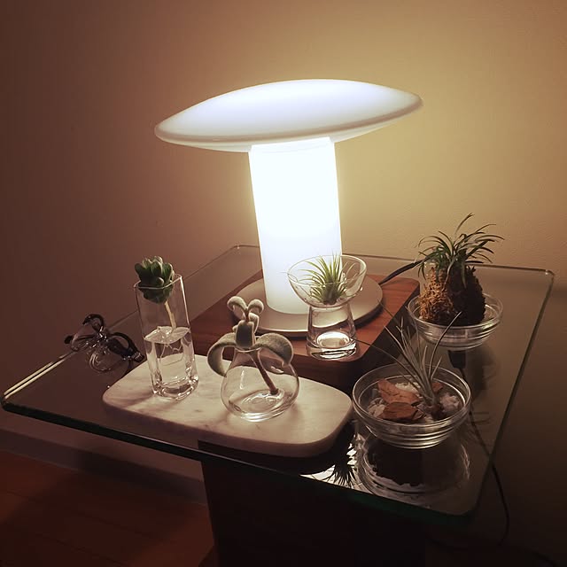 earthさんの実例写真