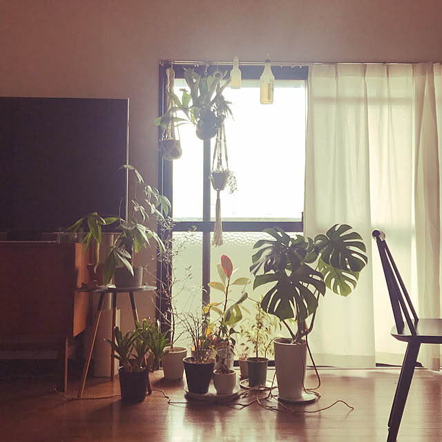 Yukoさんの実例写真