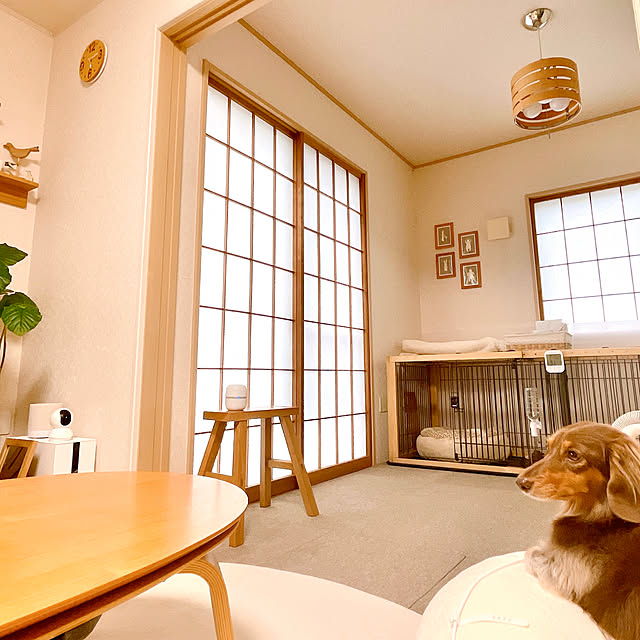 rinoさんの実例写真
