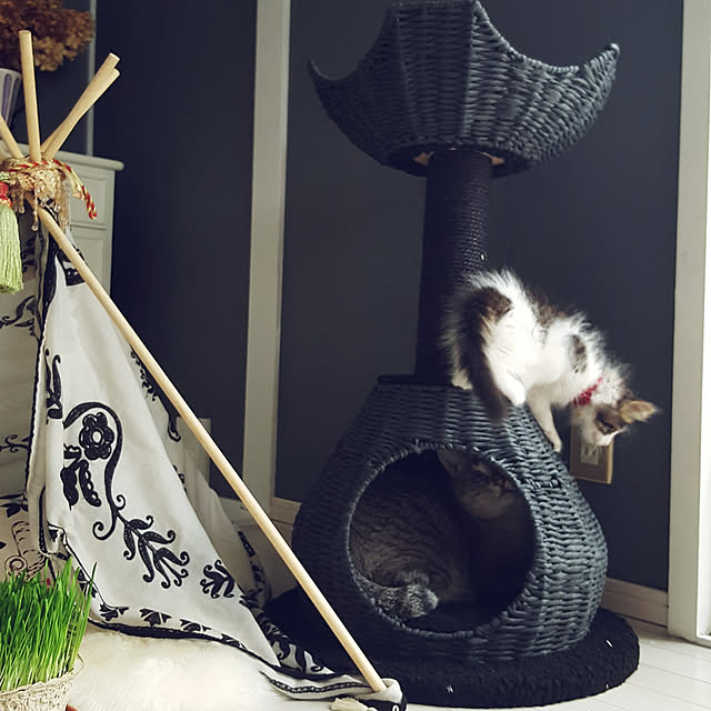 neoさんの実例写真