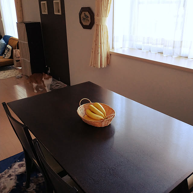 suisaiさんの実例写真