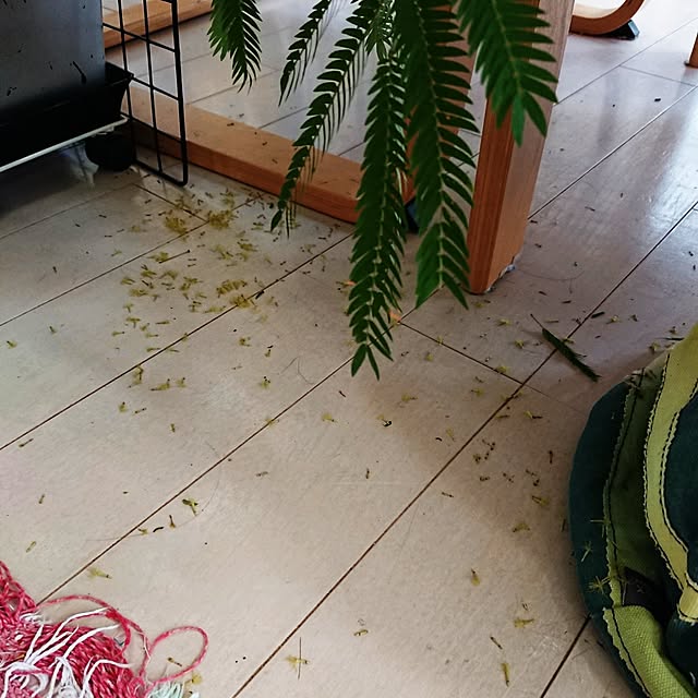 urchinさんの部屋