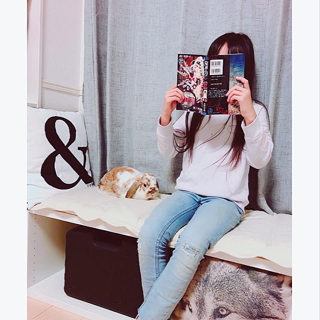 Ruiさんの実例写真