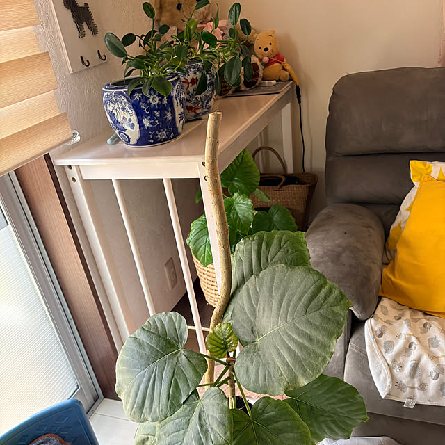 alchoさんの部屋