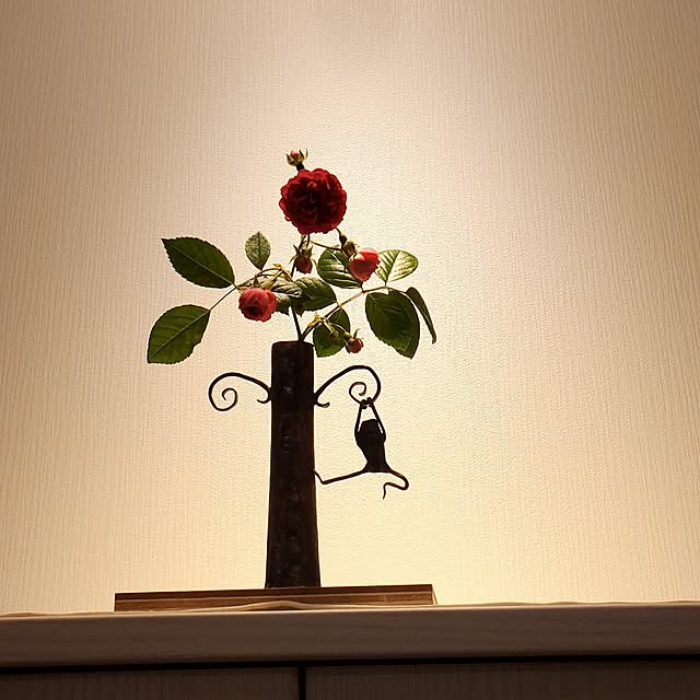 tokkiさんの実例写真