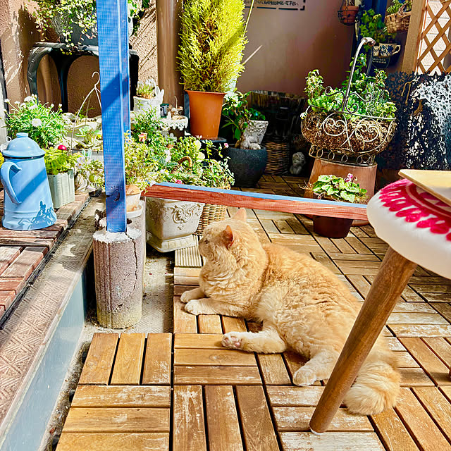 naokoさんの部屋