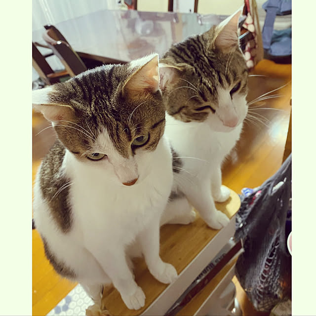 Lufuさんの実例写真