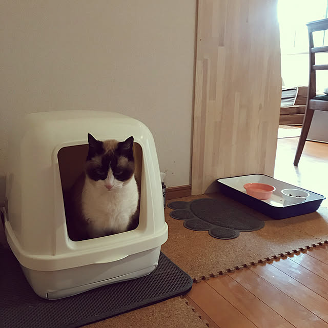 Nezuさんの実例写真