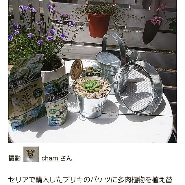 chamiさんの実例写真