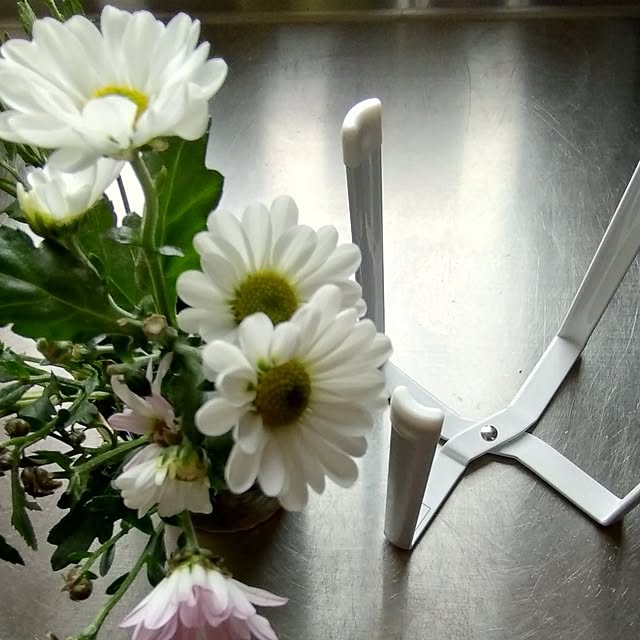 toratanさんの実例写真