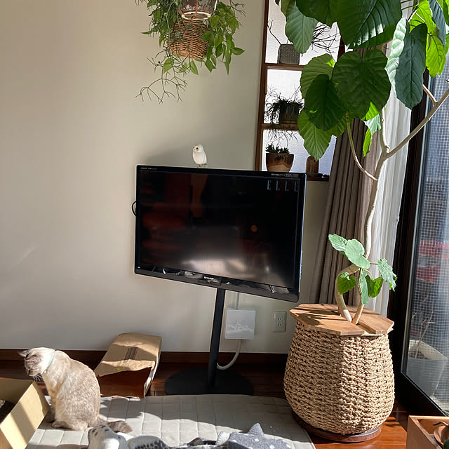 yuaroomさんの部屋