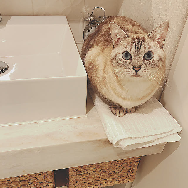 funikoさんの実例写真