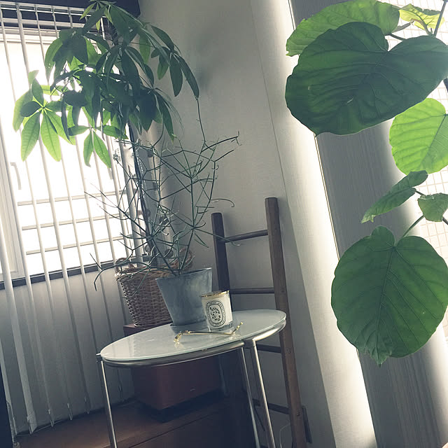 HKSさんの実例写真