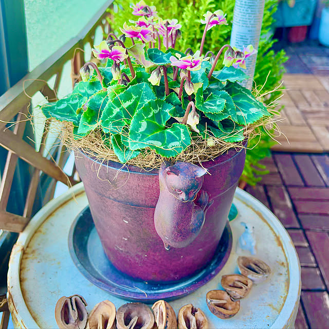 naokoさんの実例写真