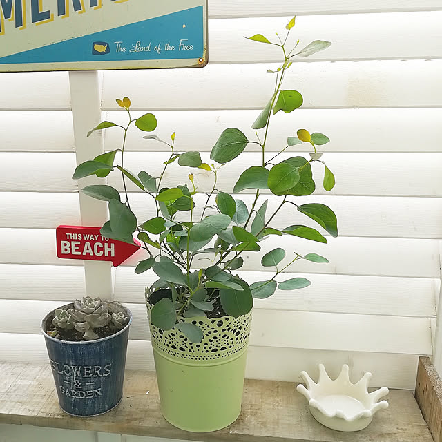 VERANDARJUNさんの実例写真