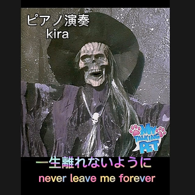 kiraさんの実例写真