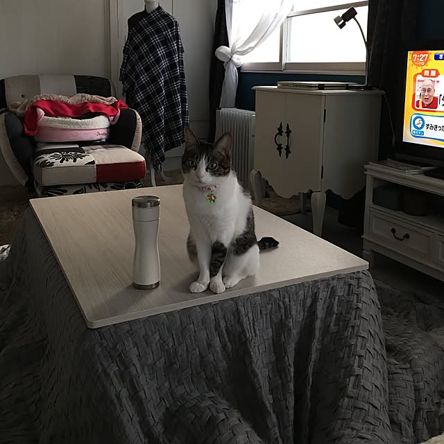 Shihoさんの実例写真
