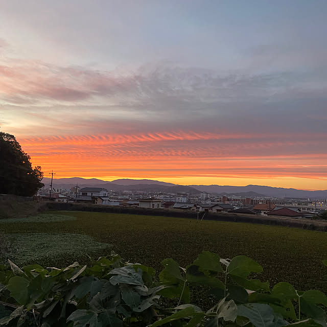Andaluciaさんの部屋