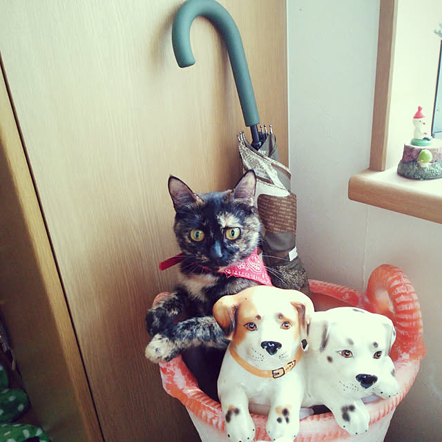 mcomcoさんの実例写真