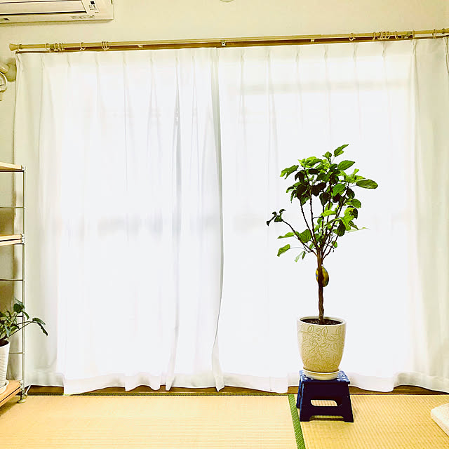hanachanさんの部屋