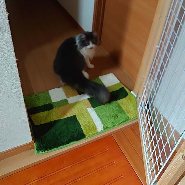 shinobuさんの実例写真