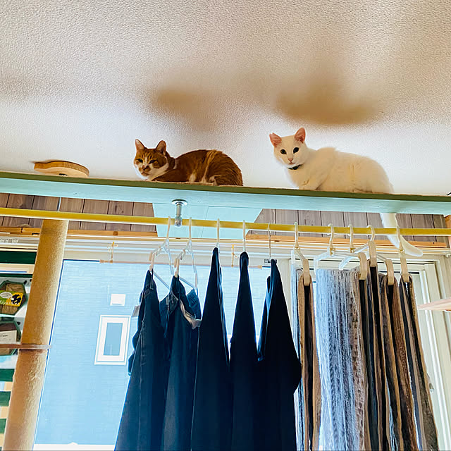 SHIHOさんの実例写真