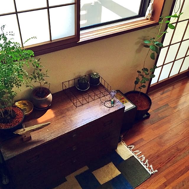 nicoさんの実例写真