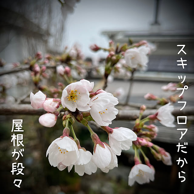 marusanさんの部屋