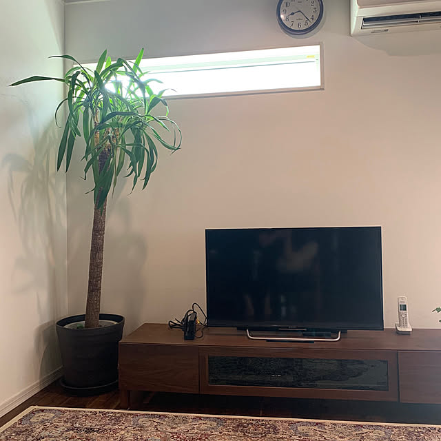 tomosanさんの実例写真