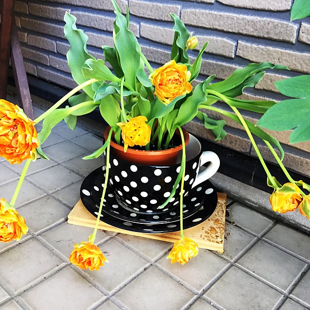 masa17さんの実例写真