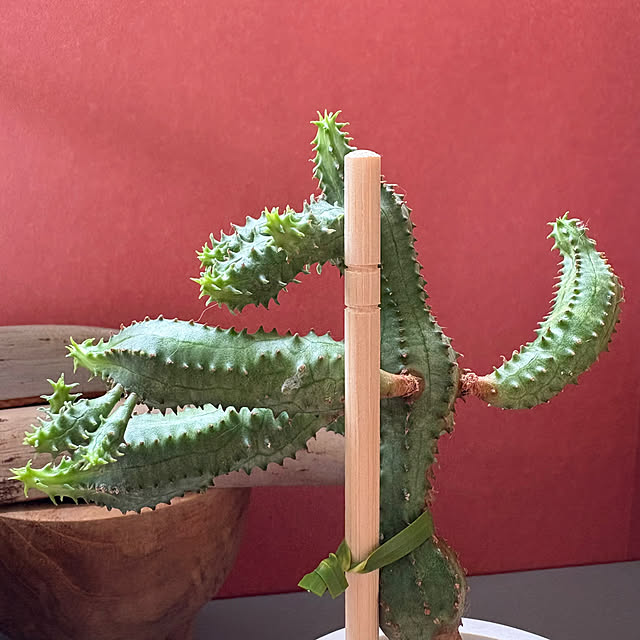 ochoriさんの部屋
