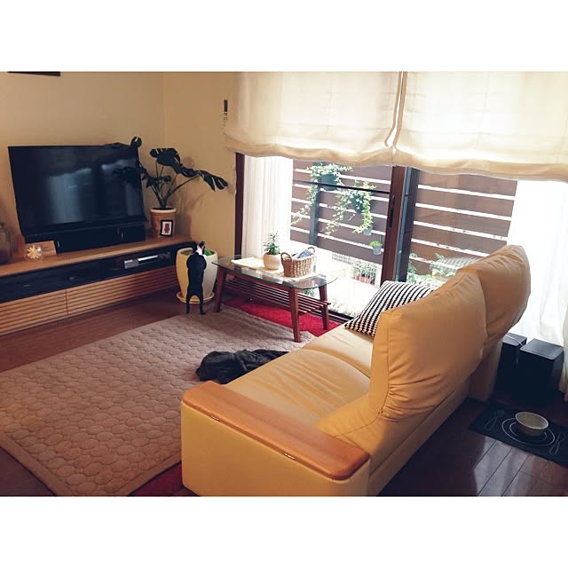 SAYN508さんの実例写真