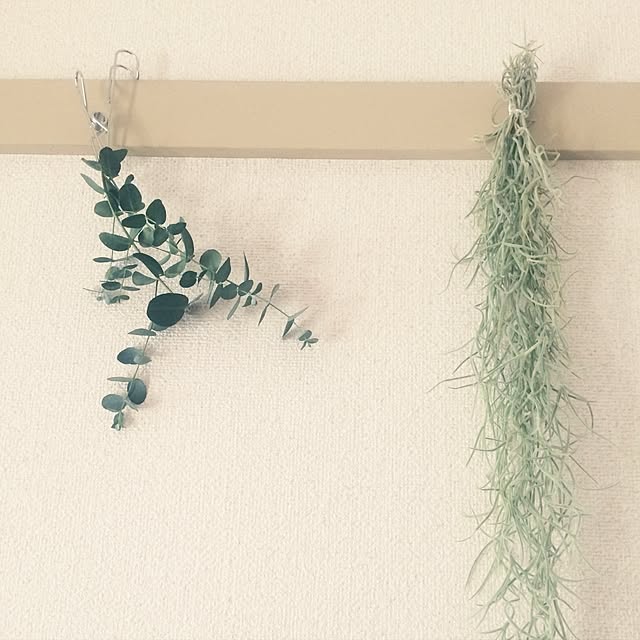 coroさんの実例写真