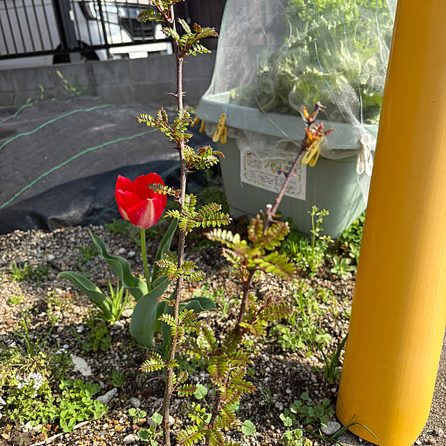 ritsukoさんの部屋