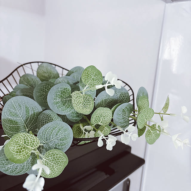 tomatoさんの部屋